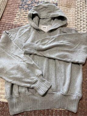 aerie Light Gray Cozy Pullover Hoodie